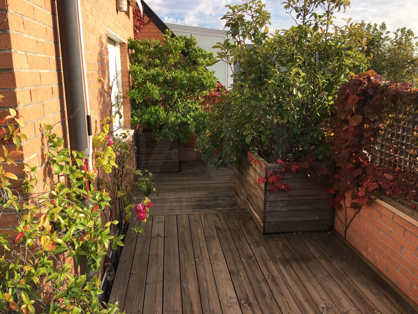 Willa do wynajęcia w Las Rozas de Madrid z basenem garażem - 2 200 € (Ref: 10029693)