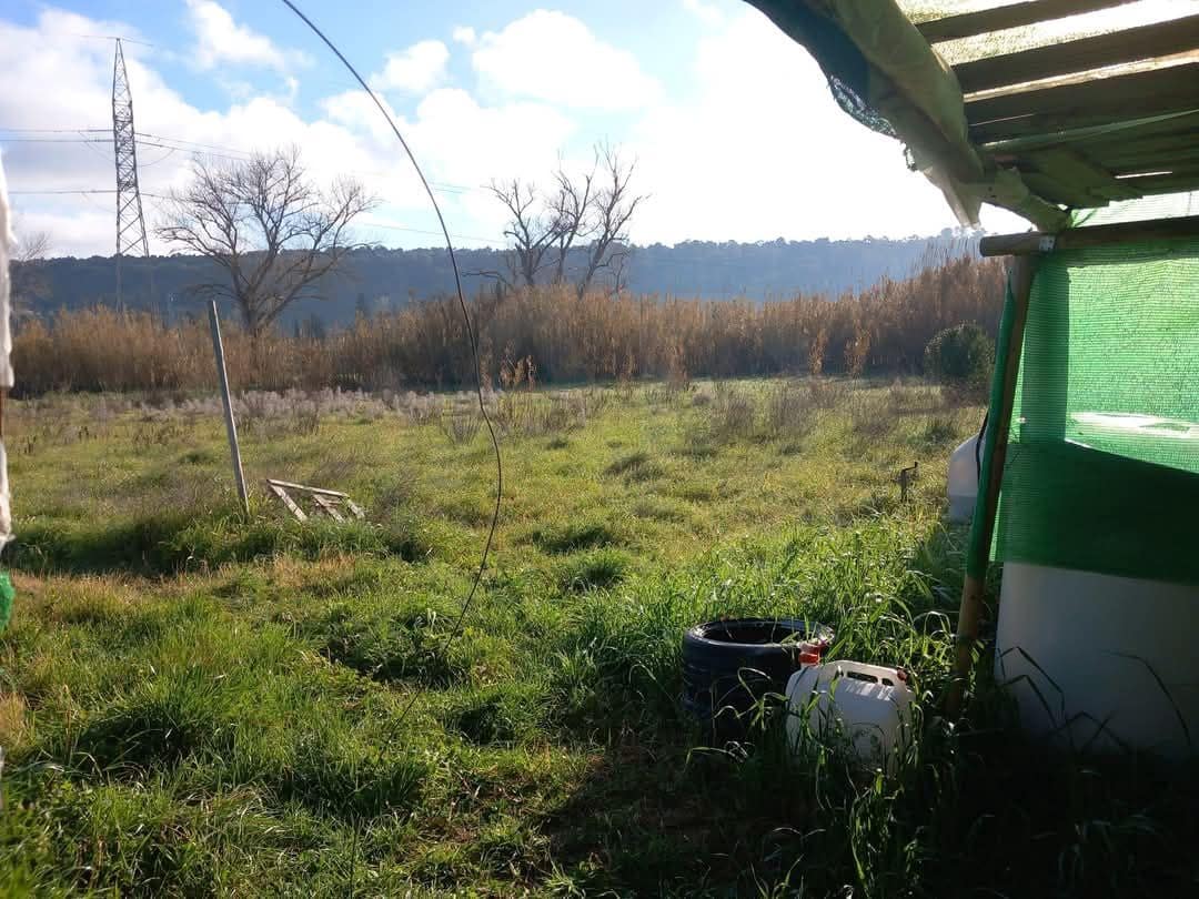 Mark till salu i Manacor - 48 000 € (Ref: 10029914)