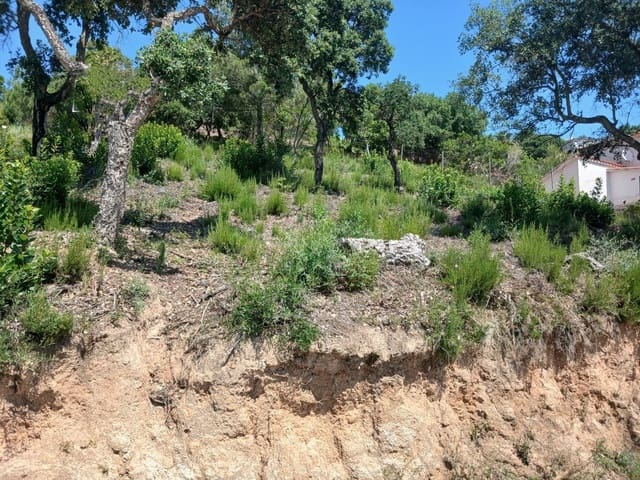 Tontti myytävänä paikassa Urbanitzacions del Nord, Lloret de Mar - 40 000 € (Ref: 10029923)