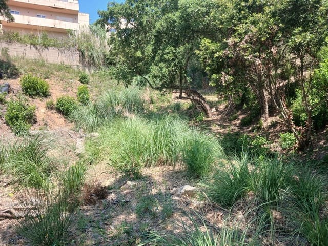 Tontti myytävänä paikassa Urbanitzacions del Nord, Lloret de Mar - 40 000 € (Ref: 10029923)