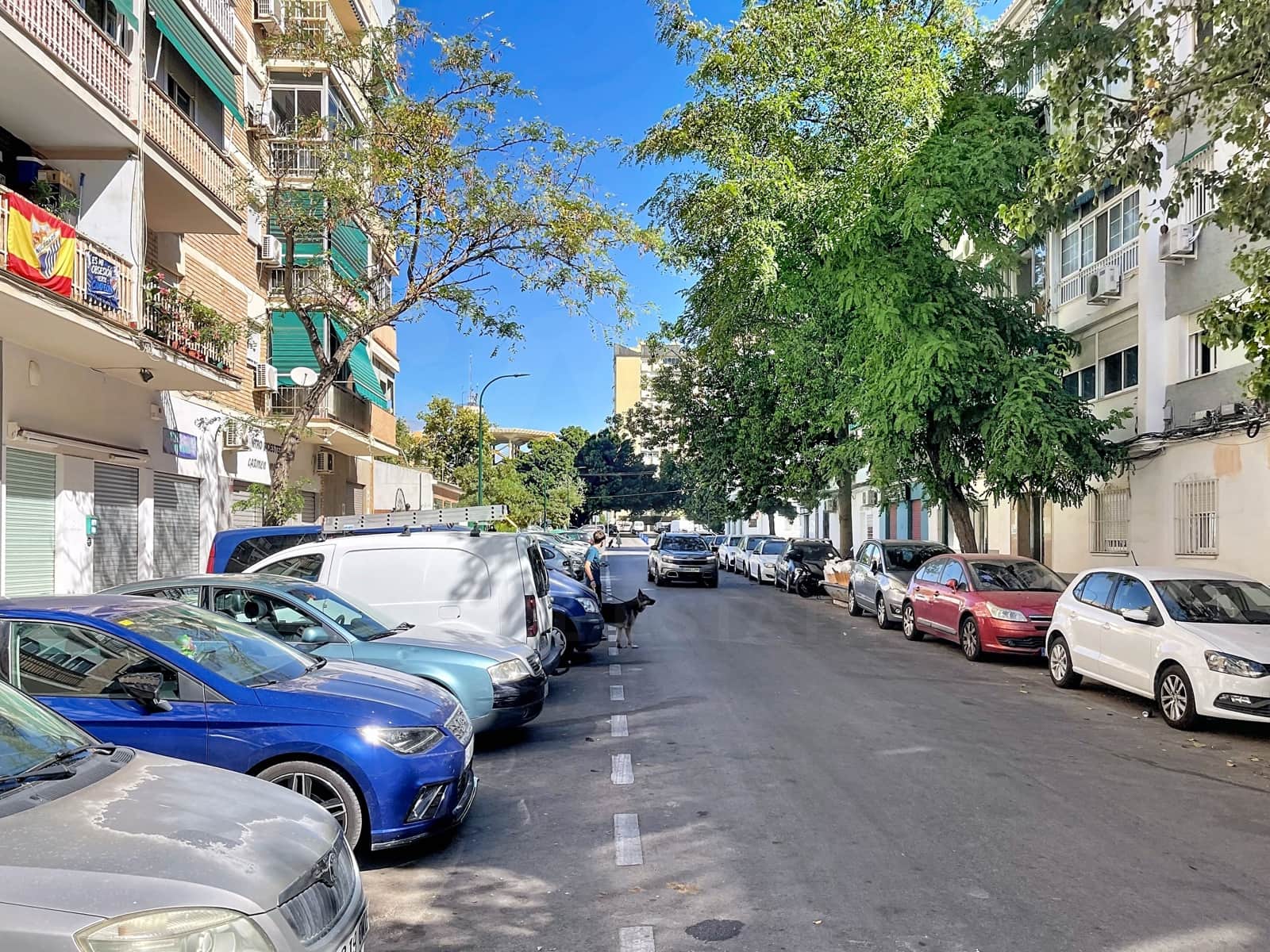 Kommersiell til leie i Malaga by - € 700 (Ref: 10031102)