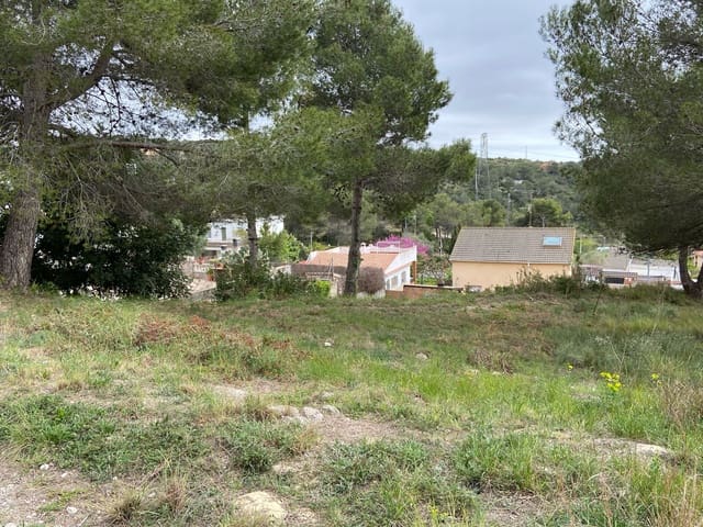 Terrain à Bâtir à vendre à Canyelles - 35 000 € (Ref: 10031178)