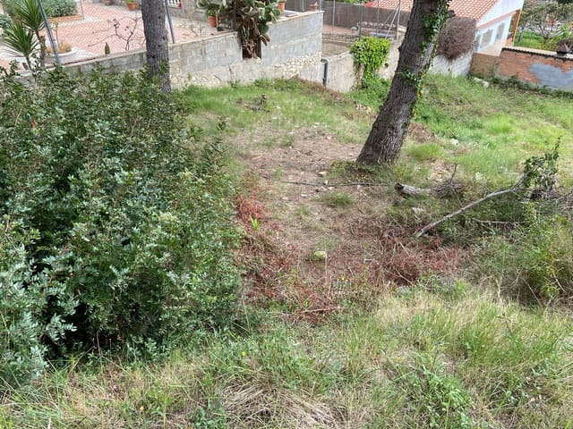 Terrain à Bâtir à vendre à Canyelles - 35 000 € (Ref: 10031178)