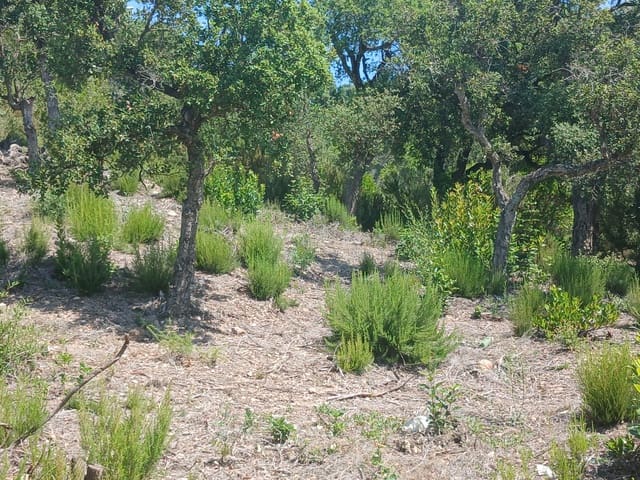 Building Plot for sale in Urbanitzacions del Nord, Lloret de Mar - € 52,500 (Ref: 10031388)