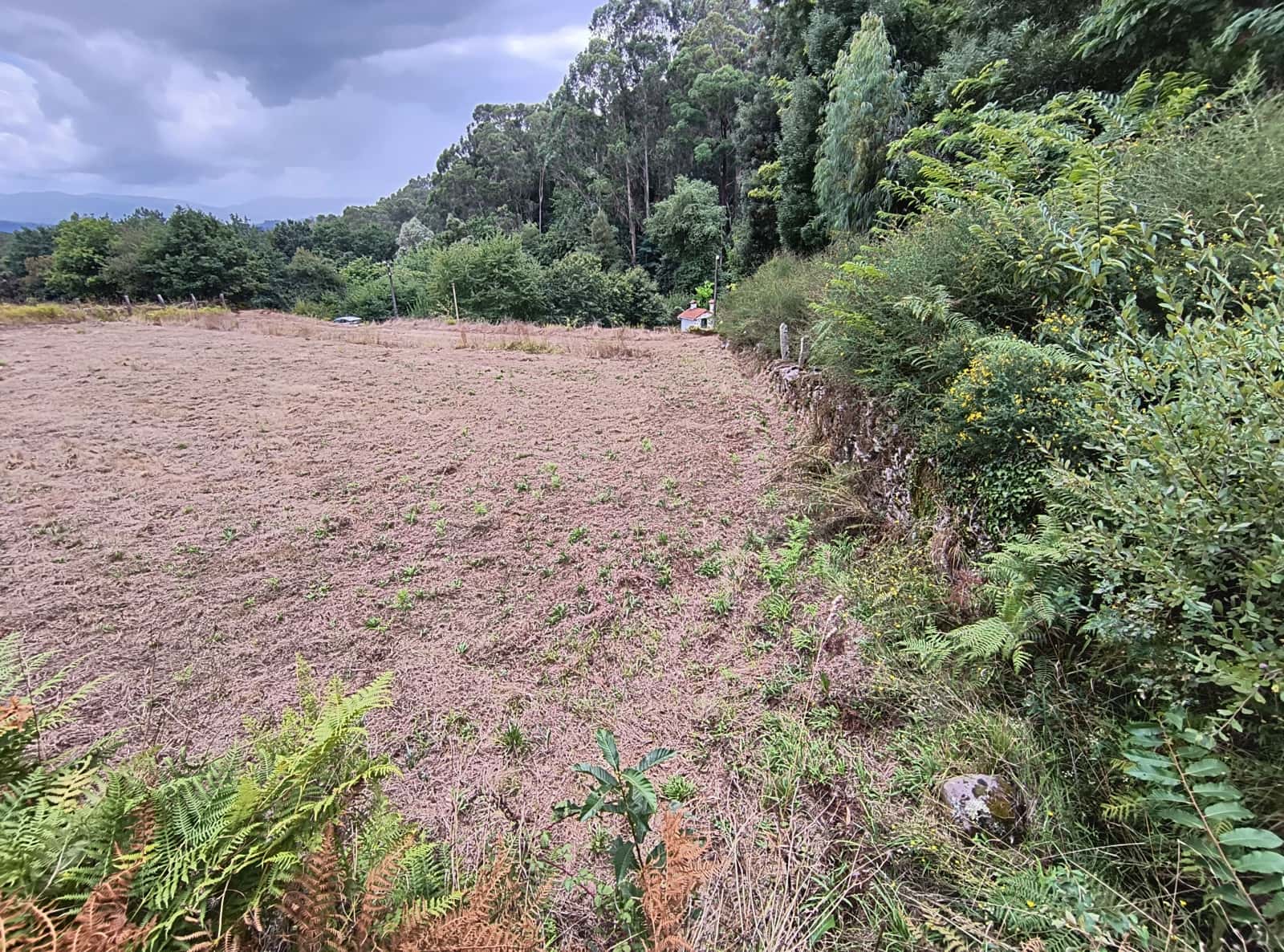 Building Plot for sale in Mondariz - € 50,000 (Ref: 10032105)