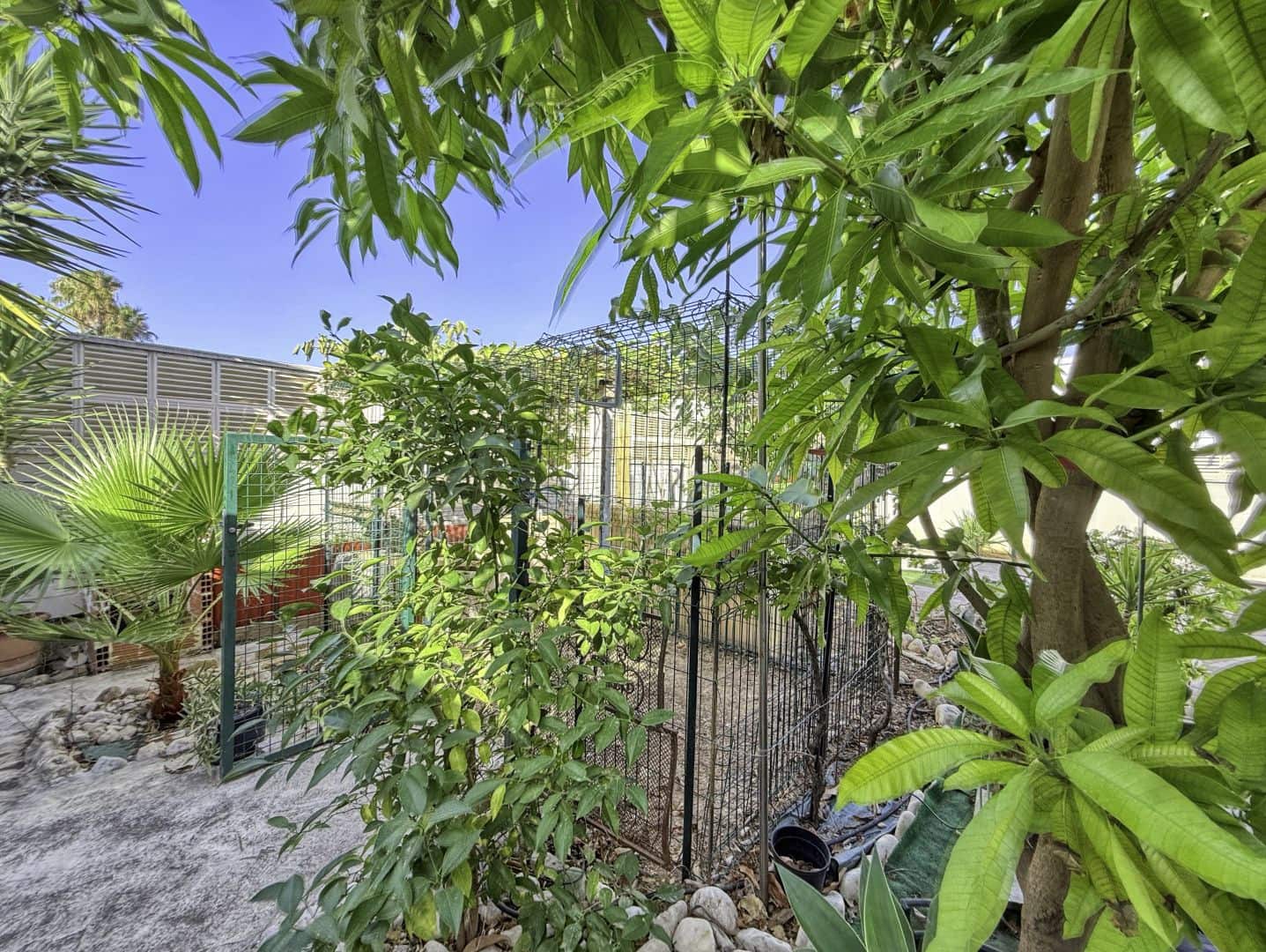 3 sovrum Villa till salu i Els Poblets med pool garage - 289 000 € (Ref: 10033385)