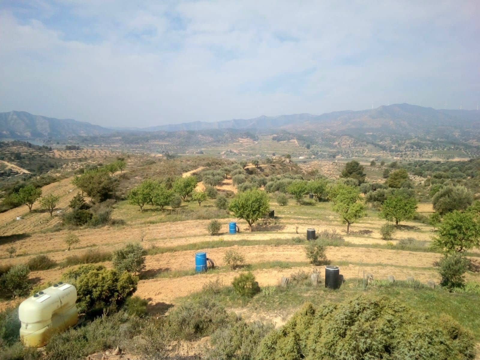 Finca/Herregård til salgs i Riba-roja d'Ebre - € 150 000 (Ref: 10034544)