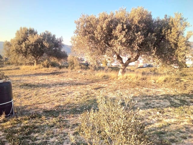 Finca/Herregård til salgs i Riba-roja d'Ebre - € 150 000 (Ref: 10034544)