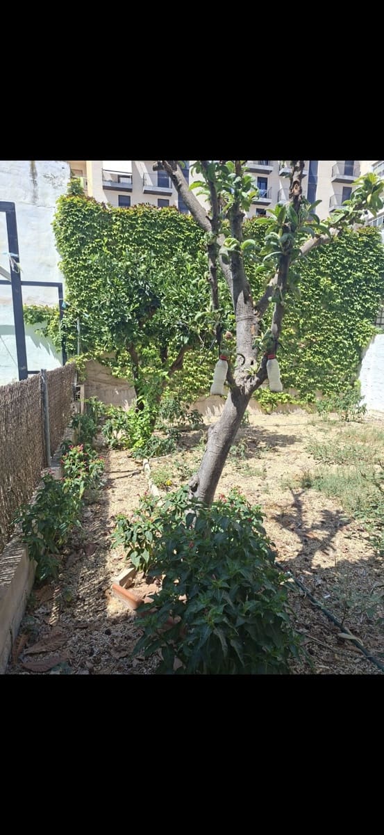 3 quarto Apartamento para venda em San Juan de Alicante / Sant Joan d'Alacant com piscina - 267 750 € (Ref: 10034819)