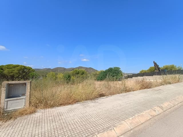 Area Edificabile in vendita in Santa Oliva - 97.000 € (Rif: 10035974)