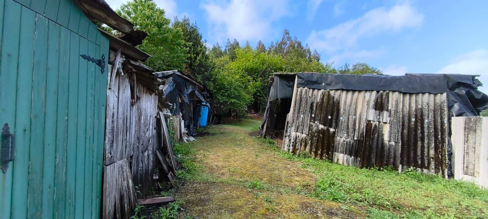 3 sypialnia Dom na sprzedaż w San Sadurnino - 63 000 € (Ref: 10036283)
