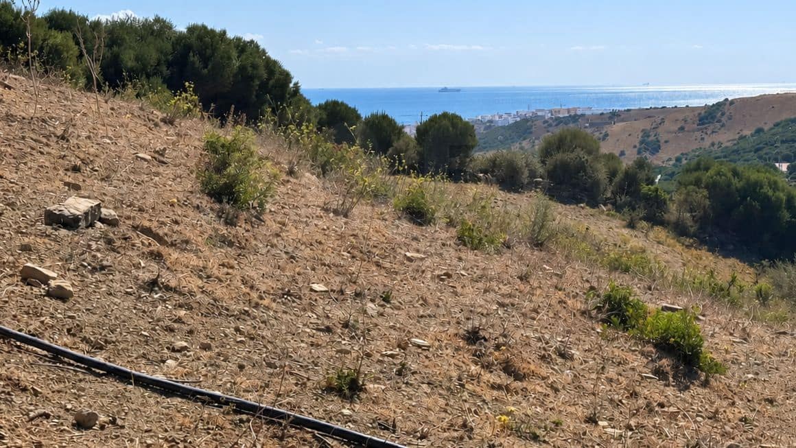 3 bedroom Finca/Country House for sale in Tarifa - € 500,000 (Ref: 10036289)
