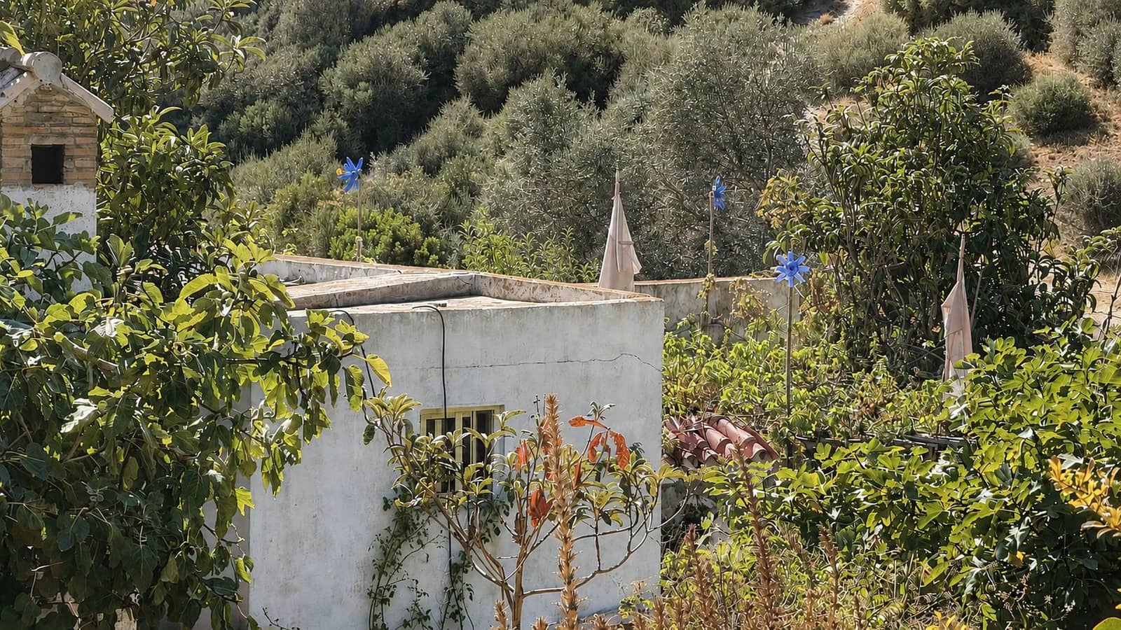 3 bedroom Finca/Country House for sale in Tarifa - € 500,000 (Ref: 10036289)
