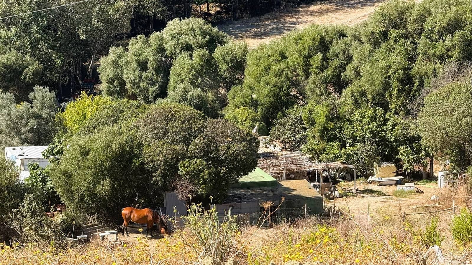 3 bedroom Finca/Country House for sale in Tarifa - € 500,000 (Ref: 10036289)