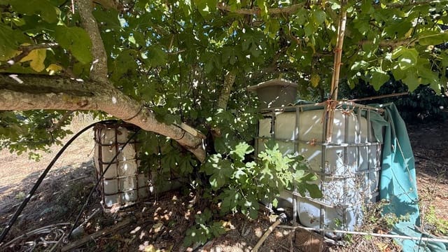 3 Zimmer Finca/Landgut zu verkaufen in Tarifa - 500.000 € (Ref: 10036289)