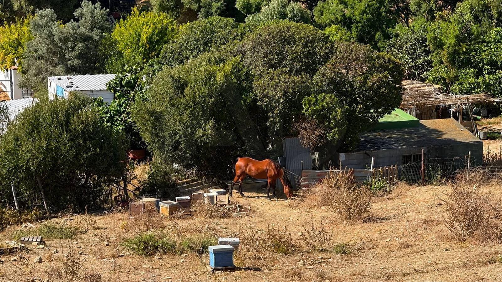3 bedroom Finca/Country House for sale in Tarifa - € 500,000 (Ref: 10036289)