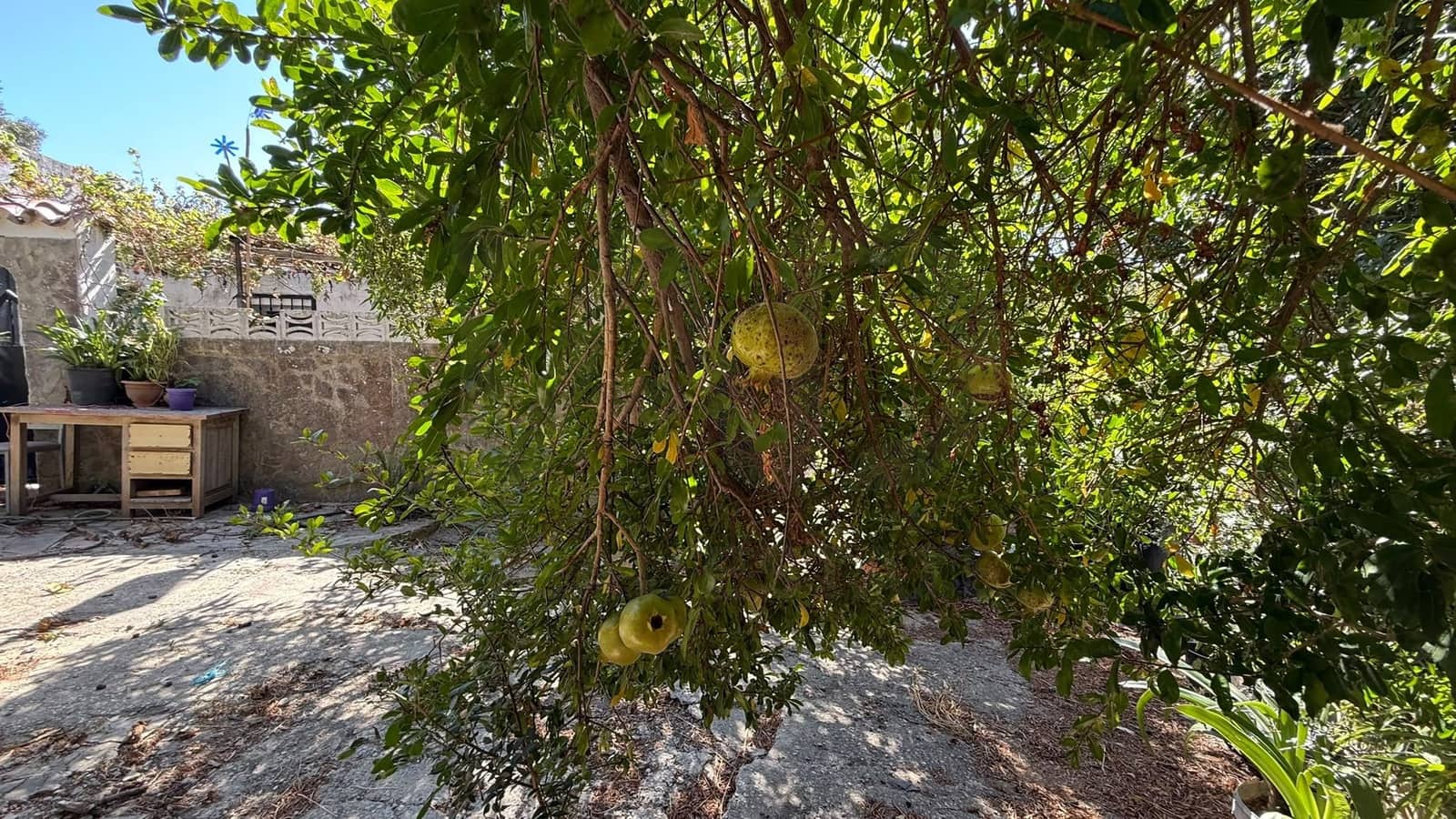 3 bedroom Finca/Country House for sale in Tarifa - € 500,000 (Ref: 10036289)