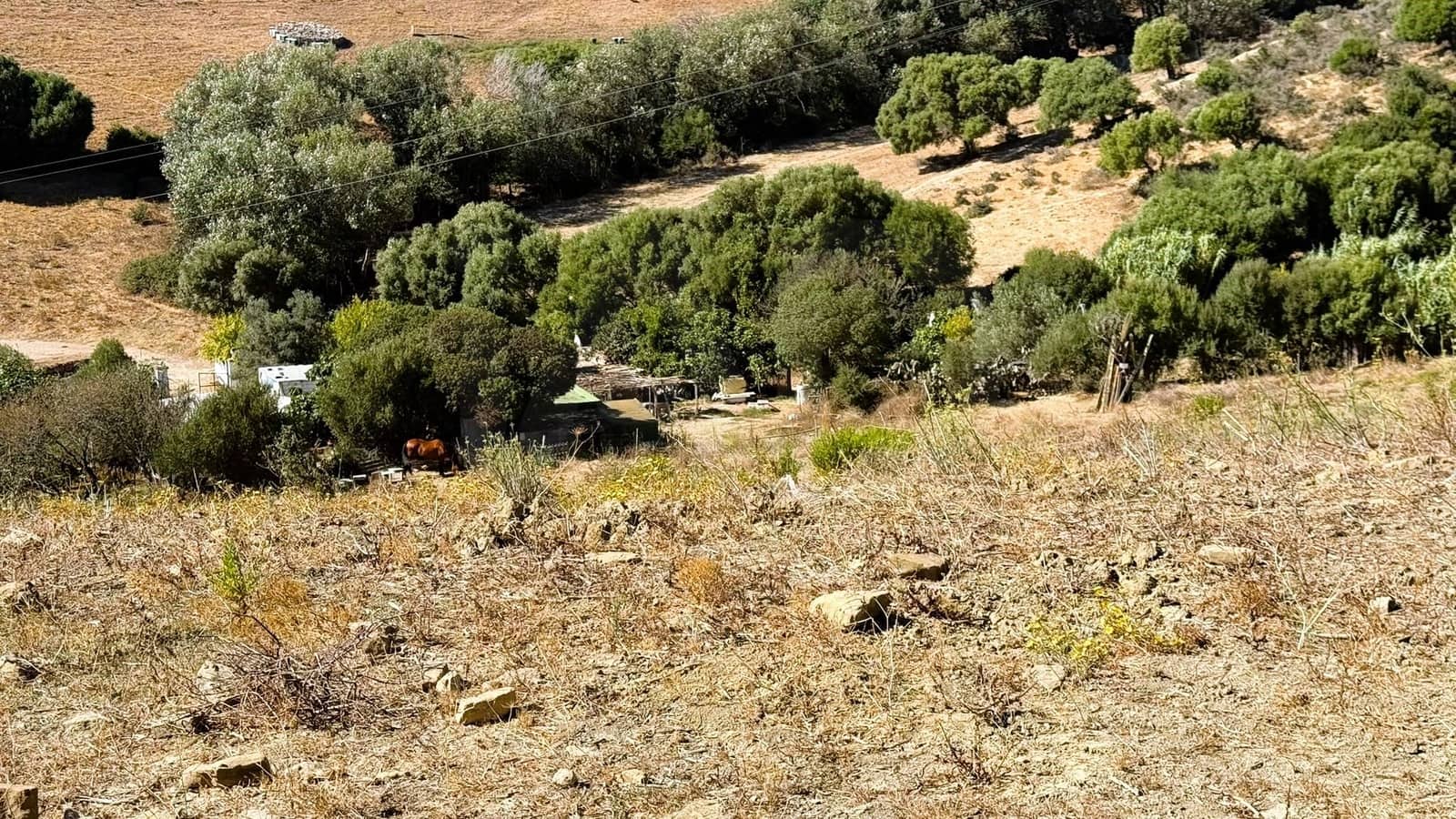 3 bedroom Finca/Country House for sale in Tarifa - € 500,000 (Ref: 10036289)