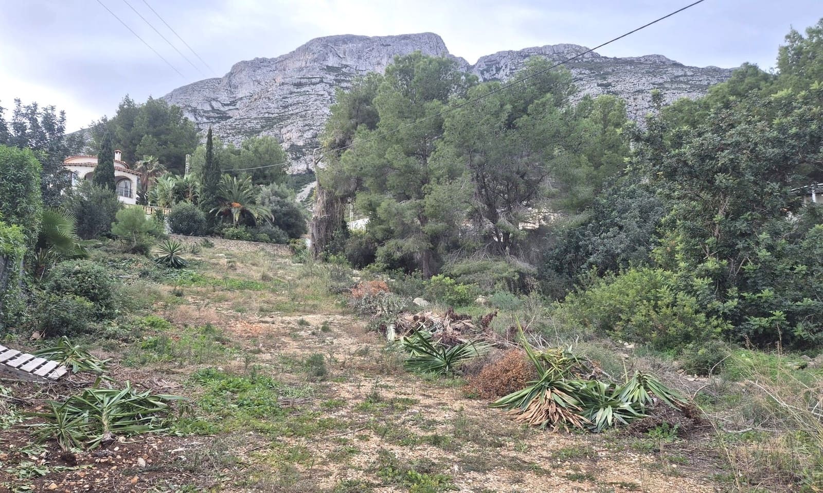 Działka budowlana na sprzedaż w Denia - 175 000 € (Ref: 10036290)