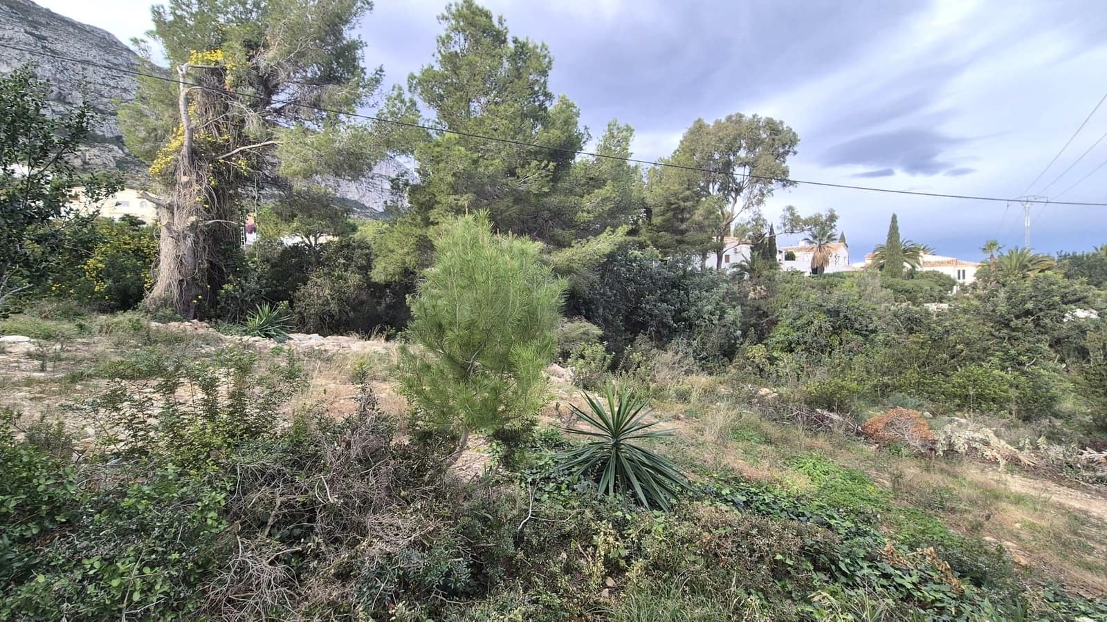 Działka budowlana na sprzedaż w Denia - 175 000 € (Ref: 10036290)
