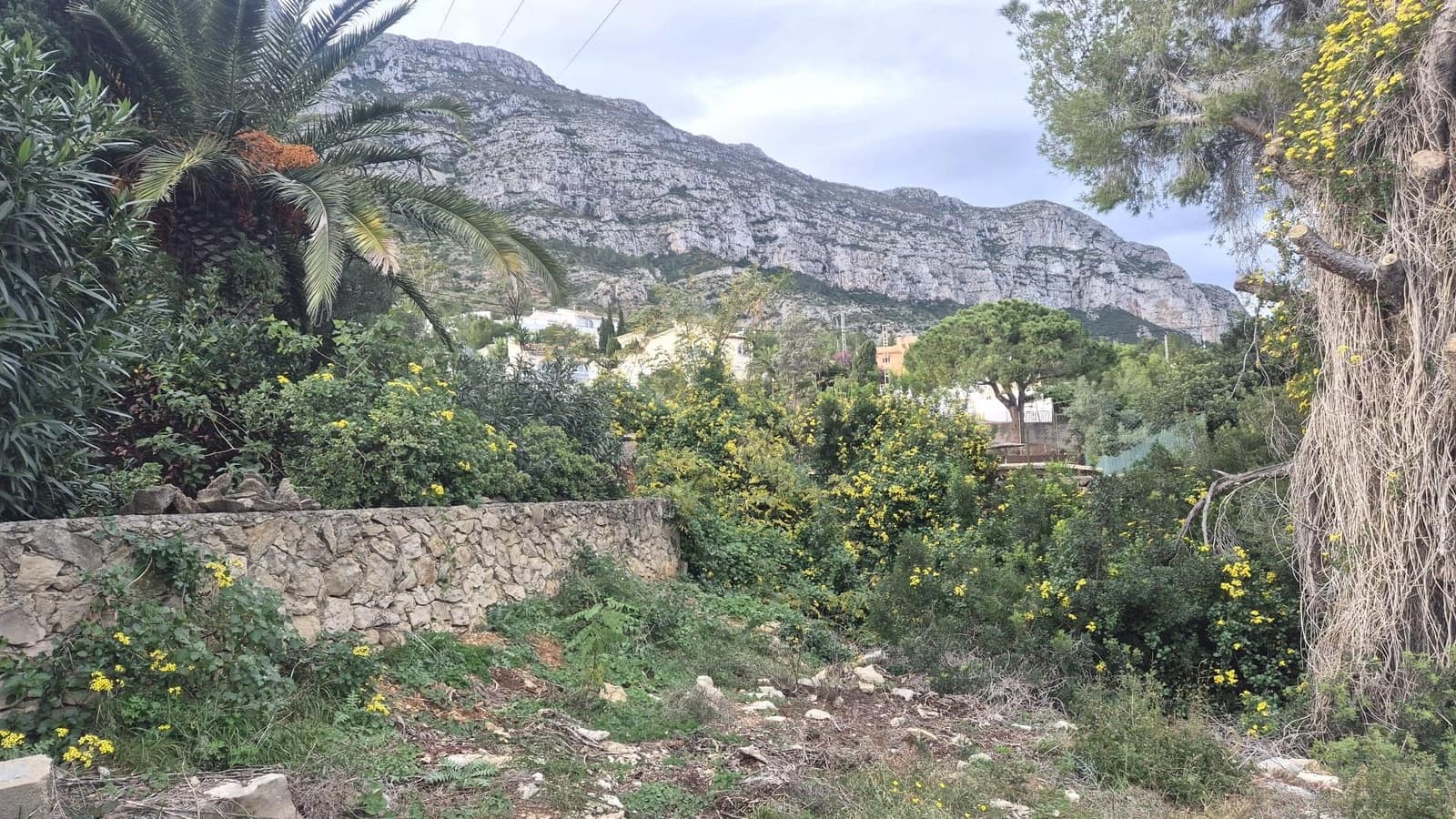 Działka budowlana na sprzedaż w Denia - 175 000 € (Ref: 10036290)