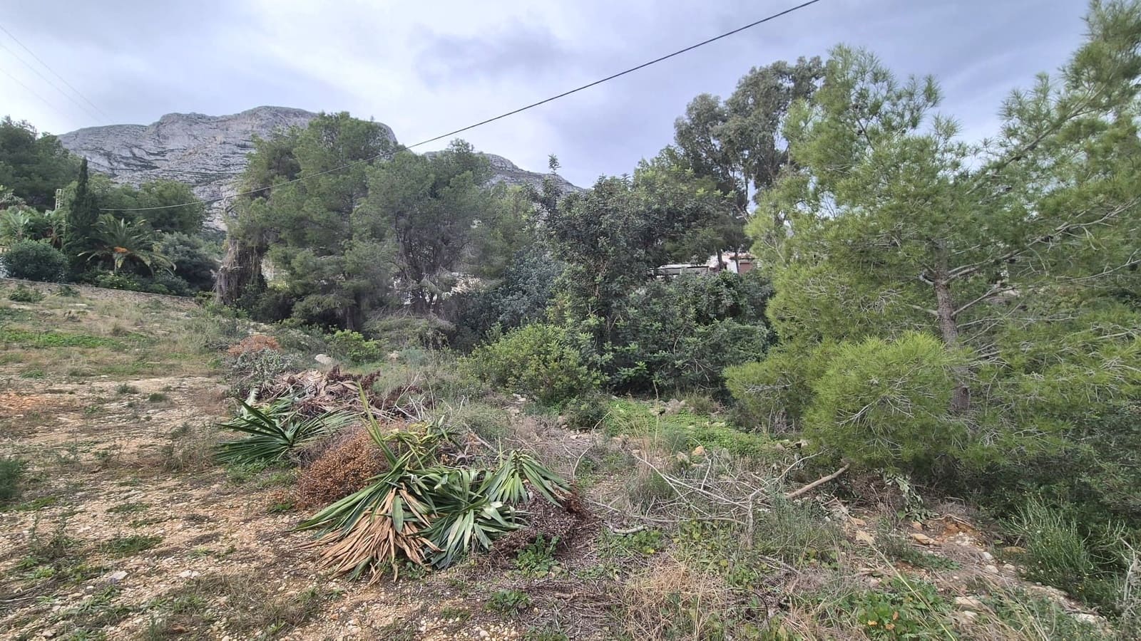 Działka budowlana na sprzedaż w Denia - 175 000 € (Ref: 10036290)