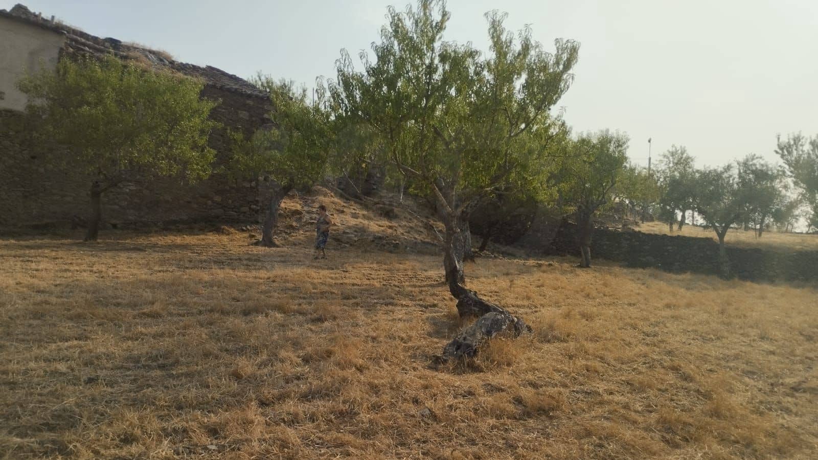 Area Edificabile in vendita in Vilvestre - 28.000 € (Rif: 10036294)