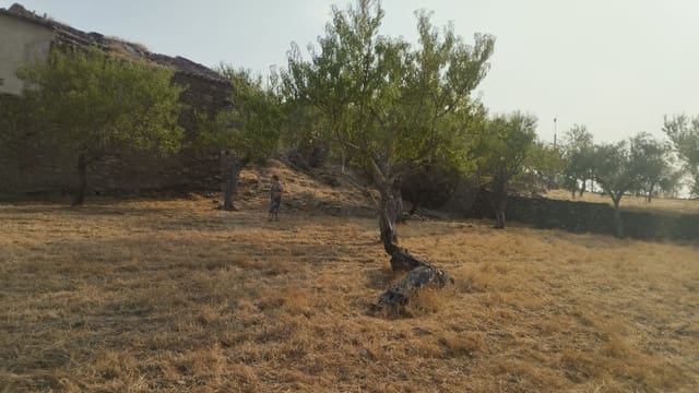 Area Edificabile in vendita in Vilvestre - 28.000 € (Rif: 10036294)