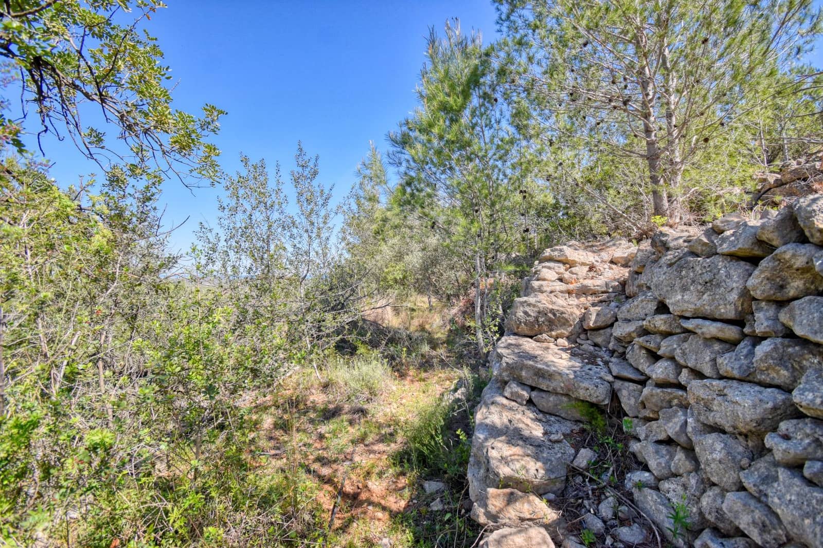 Grond te koop in Pego - € 38.900 (Ref: 10037722)