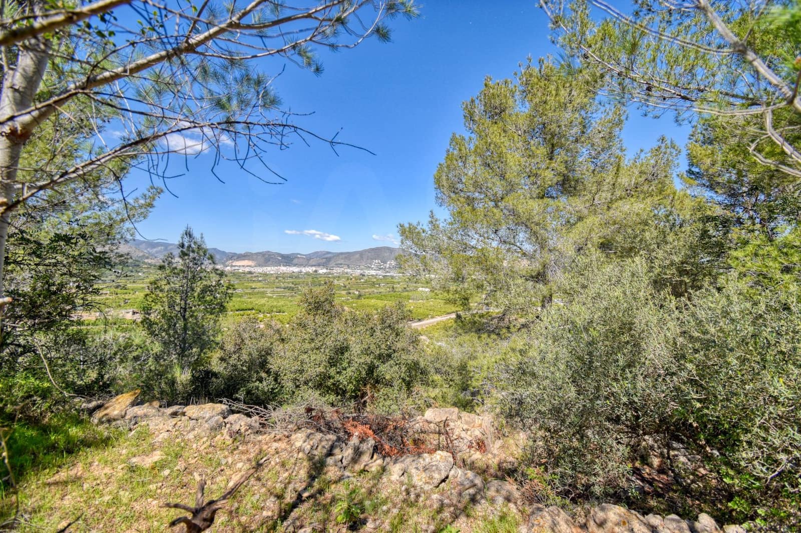 Grond te koop in Pego - € 38.900 (Ref: 10037722)