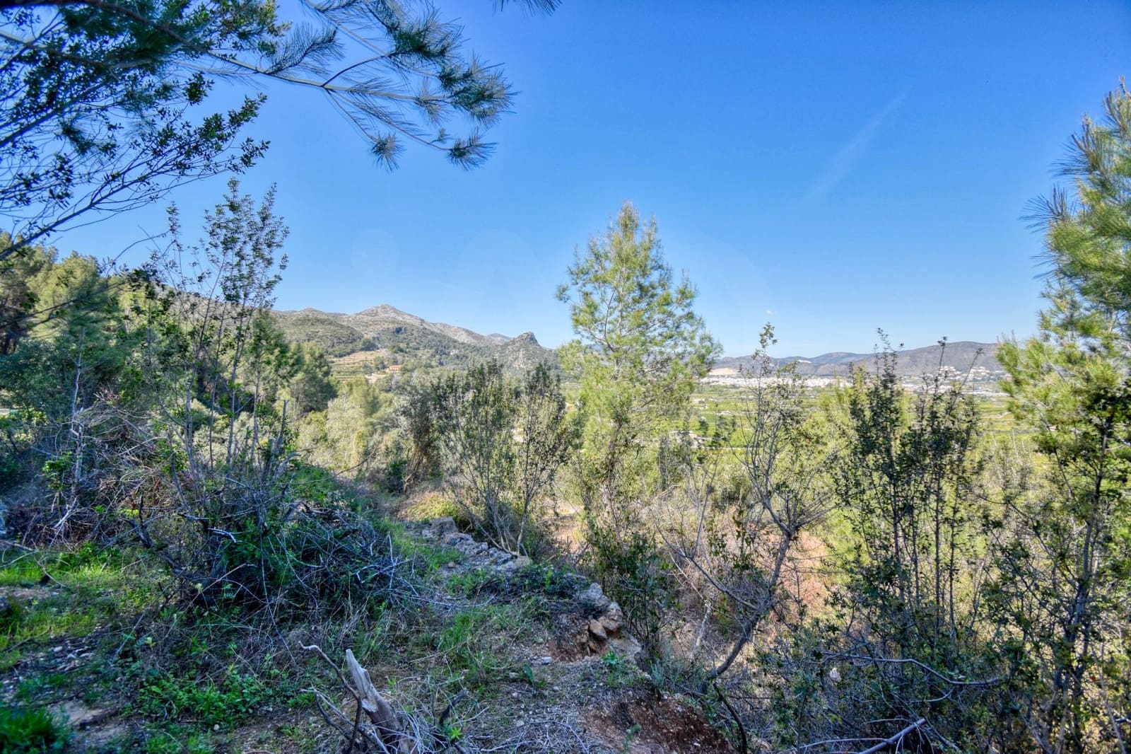 Grond te koop in Pego - € 38.900 (Ref: 10037722)