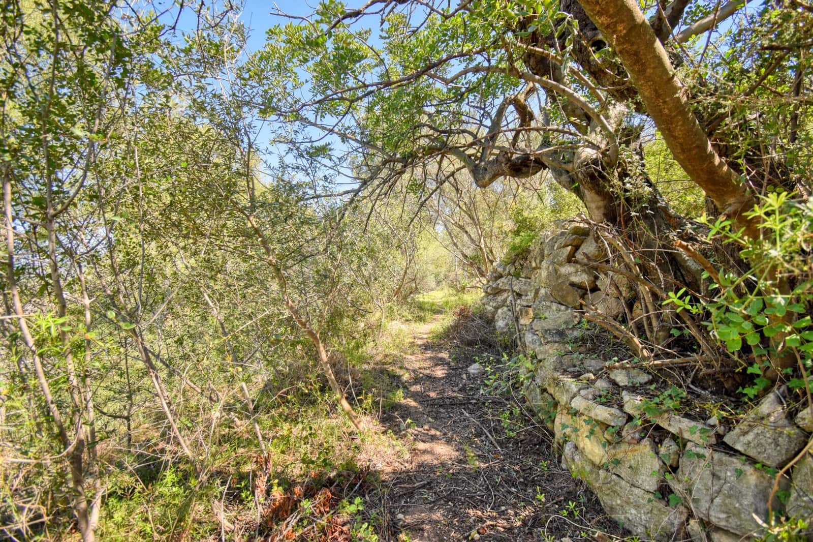 Grond te koop in Pego - € 38.900 (Ref: 10037722)
