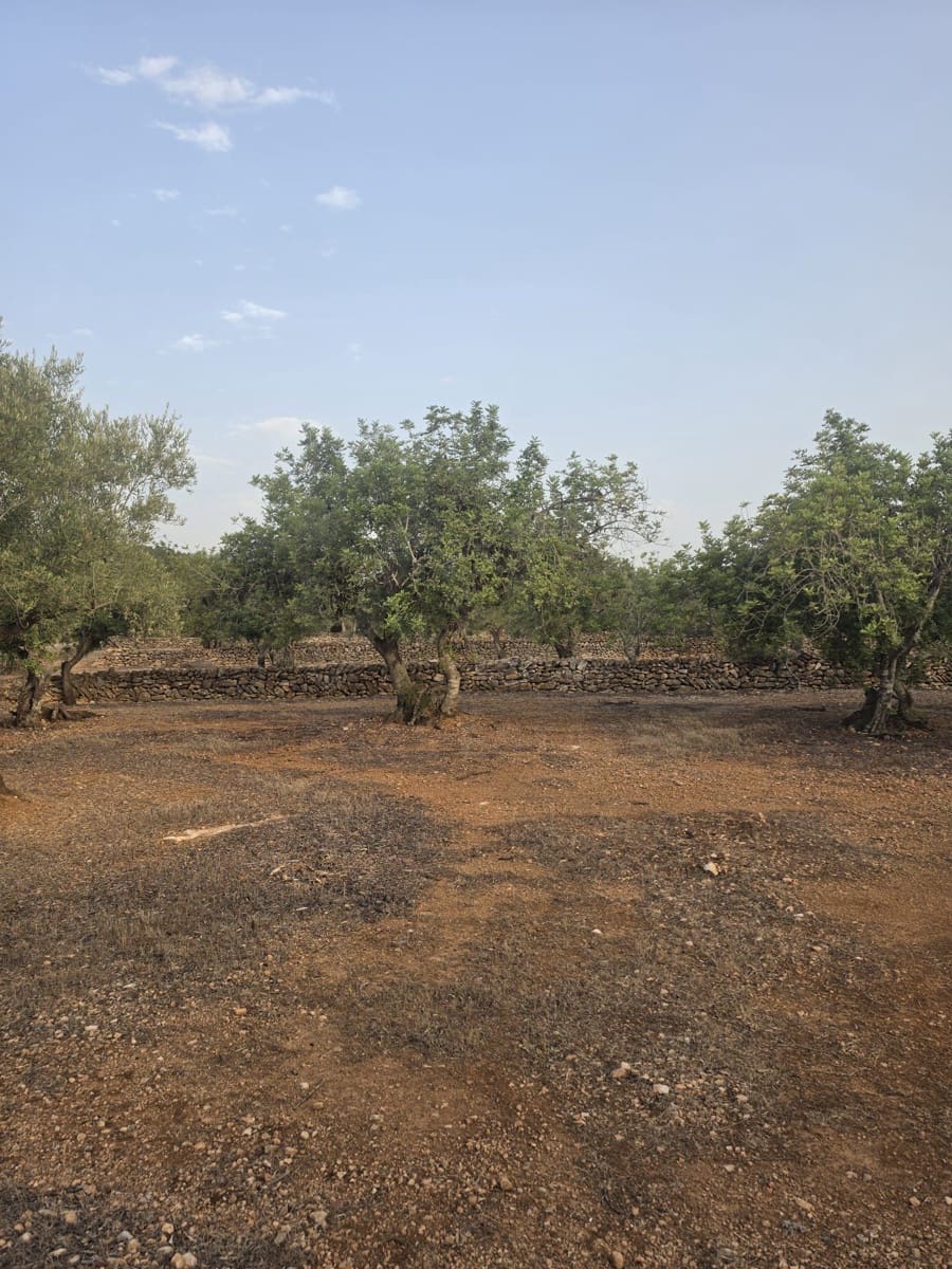 Grond te koop in El Perello - € 30.000 (Ref: 10037794)