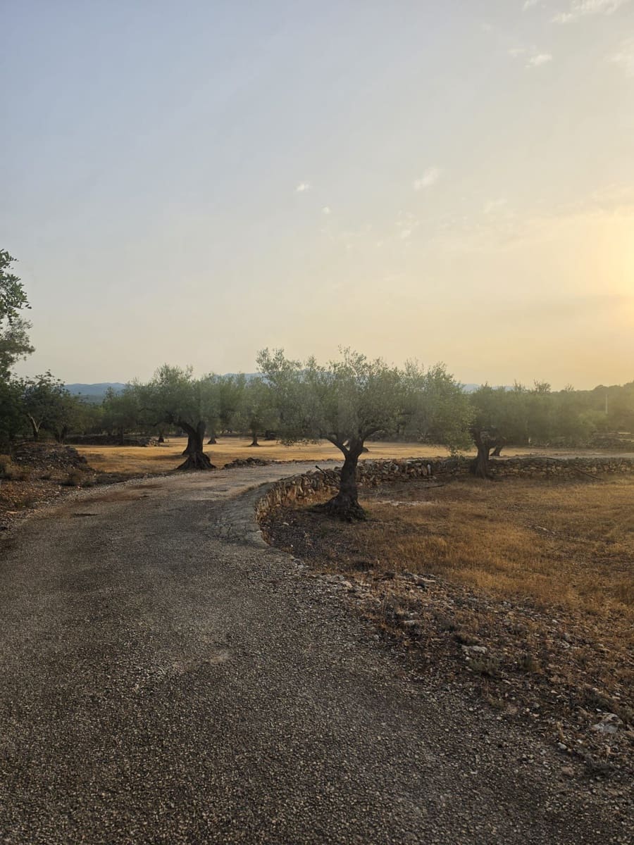 Grond te koop in El Perello - € 30.000 (Ref: 10037794)