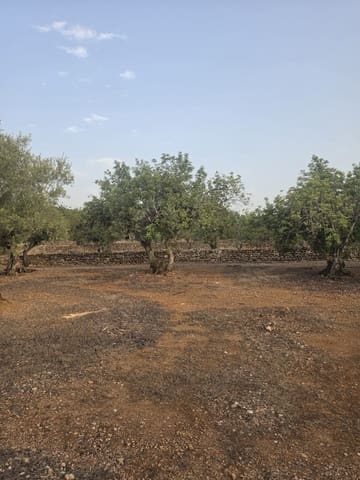 Grond te koop in El Perelló - € 30.000 (Ref: 10037794)