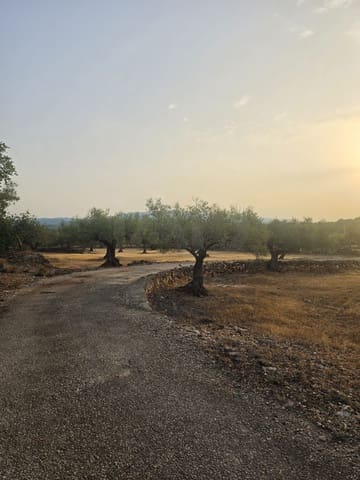 Grond te koop in El Perelló - € 30.000 (Ref: 10037794)