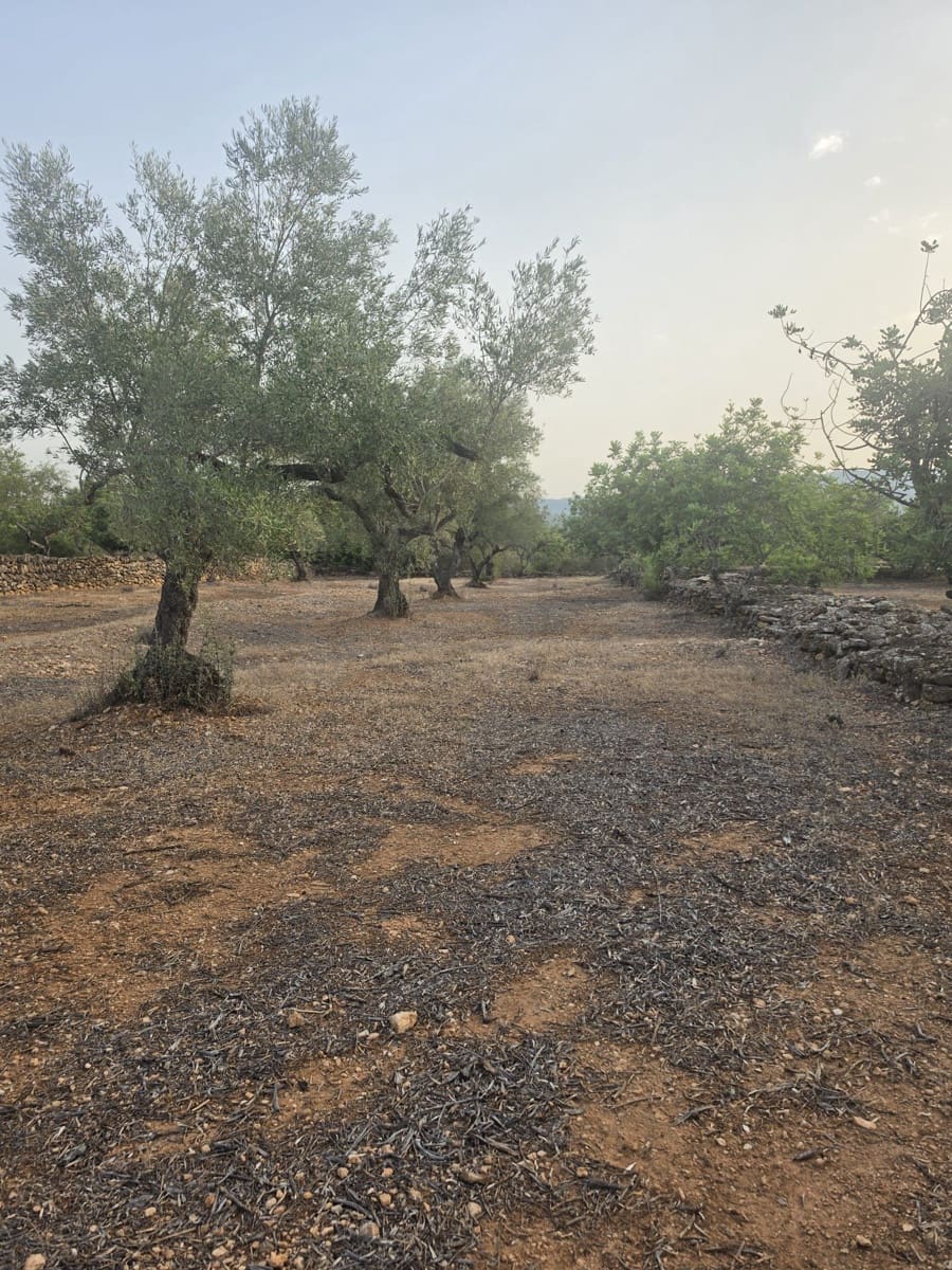 Grond te koop in El Perello - € 30.000 (Ref: 10037794)