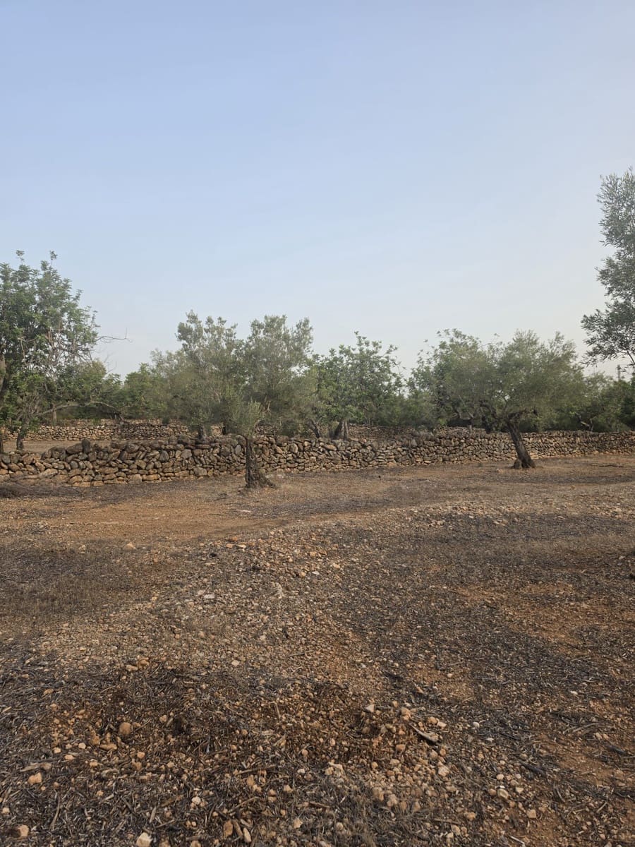 Grond te koop in El Perello - € 30.000 (Ref: 10037794)