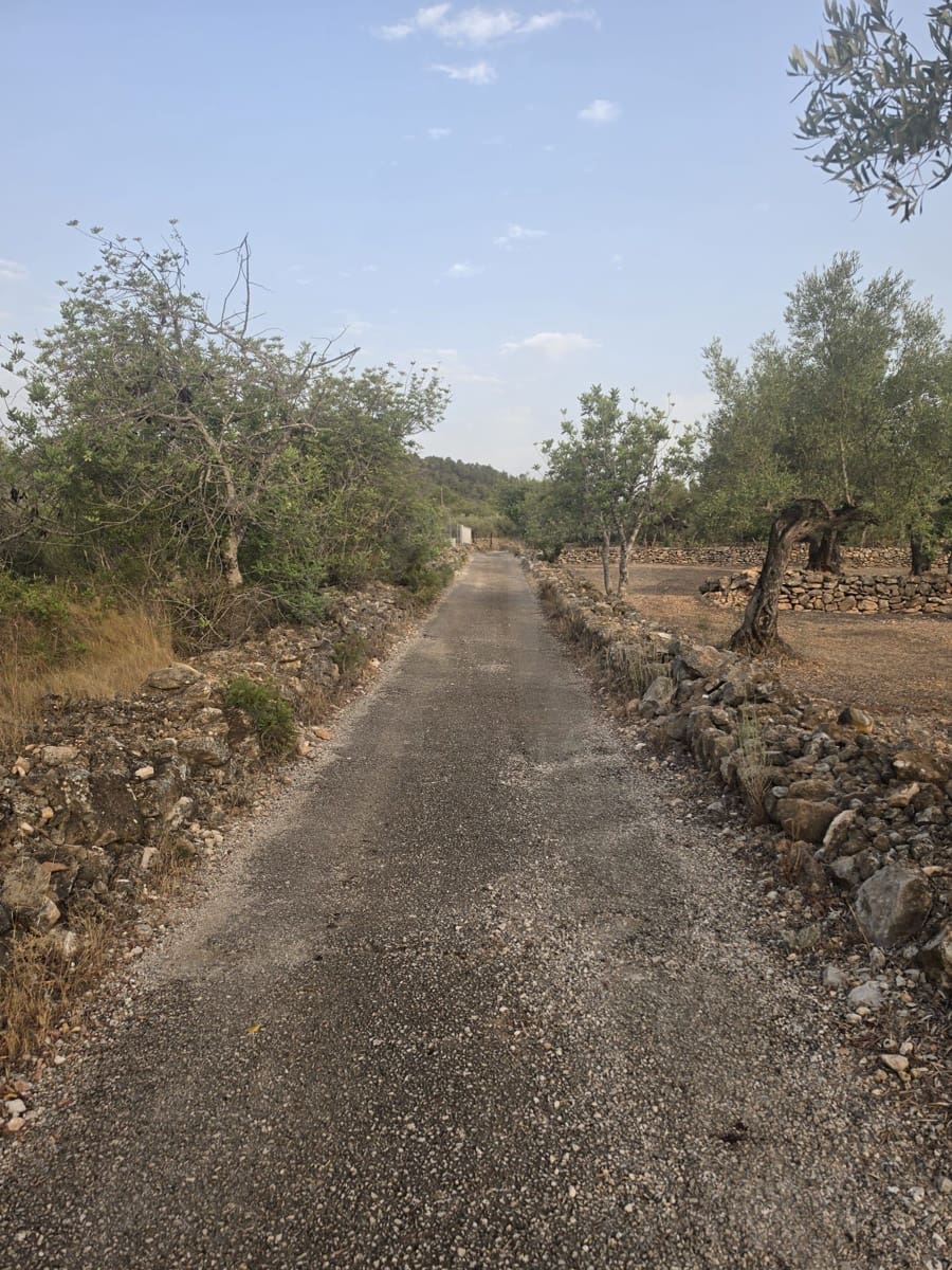 Grond te koop in El Perello - € 30.000 (Ref: 10037794)