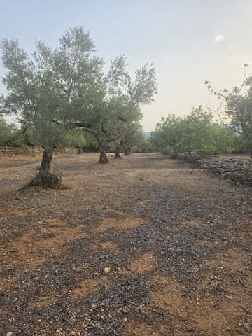 Grond te koop in El Perelló - € 30.000 (Ref: 10037794)