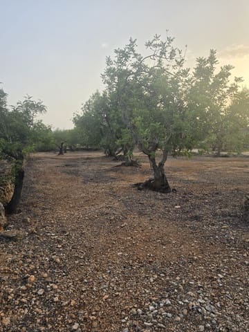 Grond te koop in El Perelló - € 30.000 (Ref: 10037794)