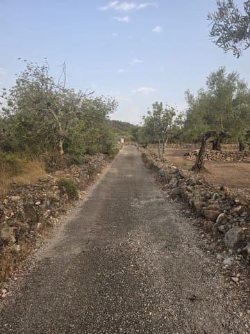 Grond te koop in El Perelló - € 30.000 (Ref: 10037794)