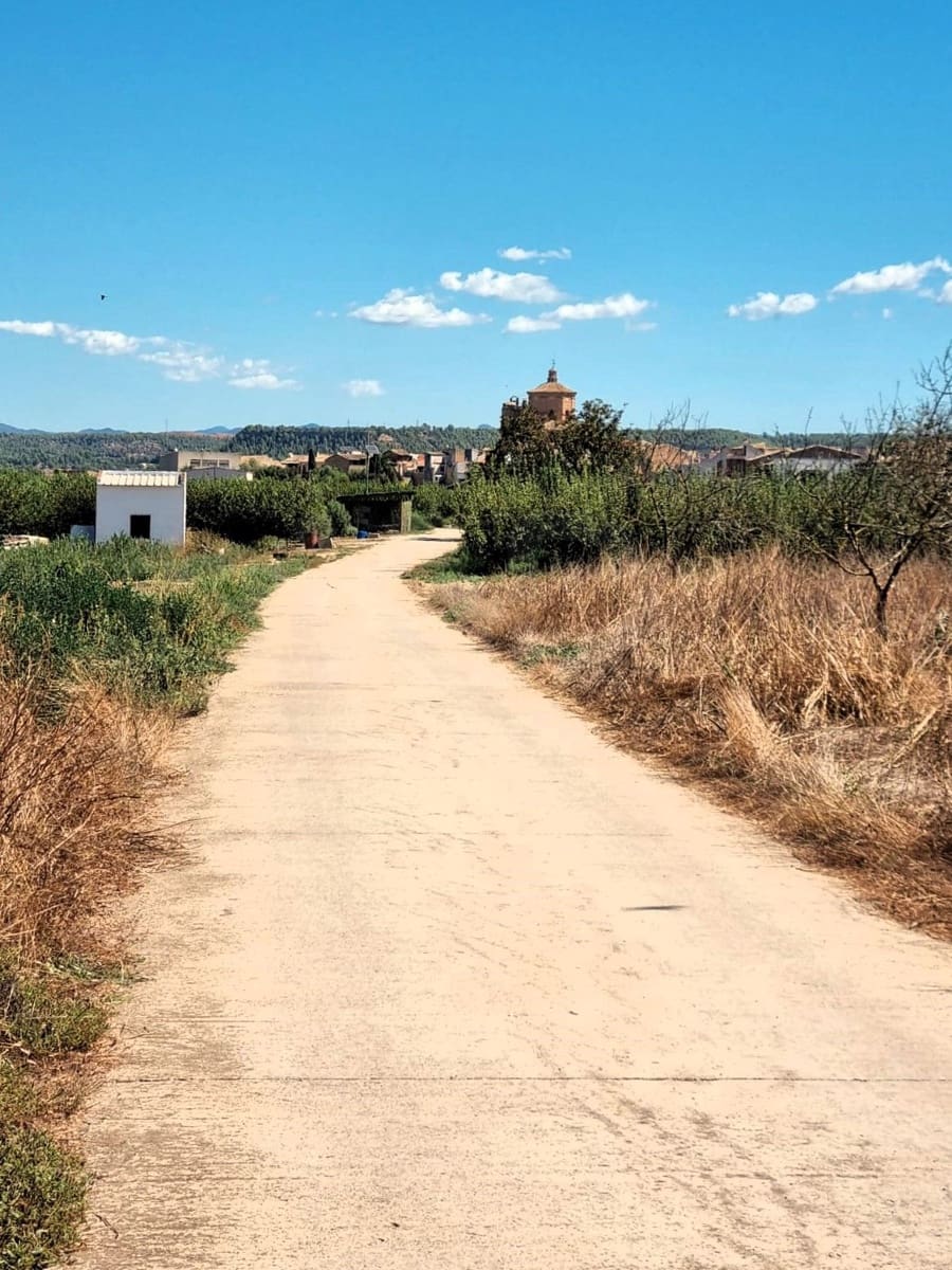 Terreno Non Edificato in vendita in Ginestar - 25.000 € (Rif: 10037795)