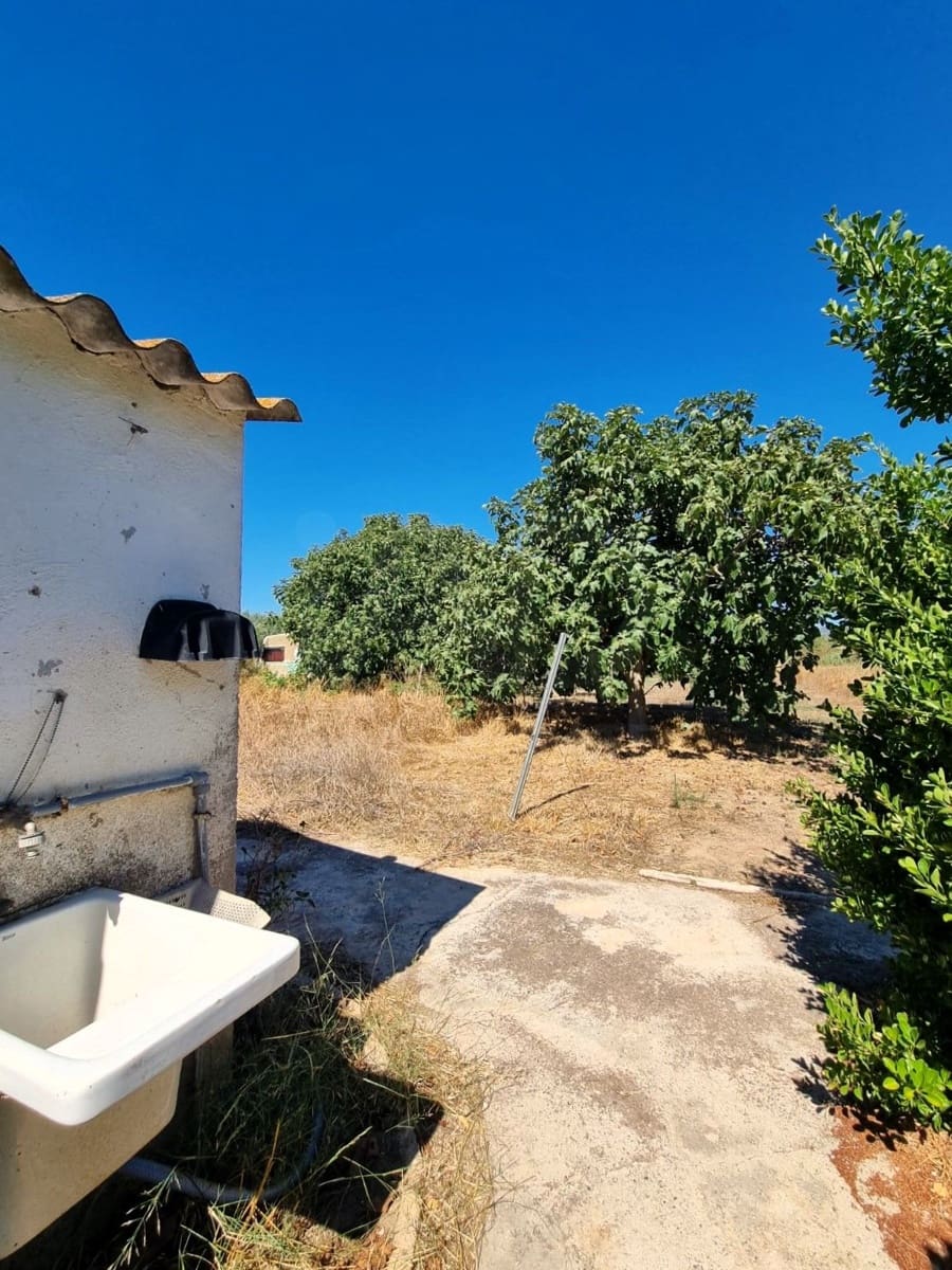 Terreno Non Edificato in vendita in Ginestar - 25.000 € (Rif: 10037795)