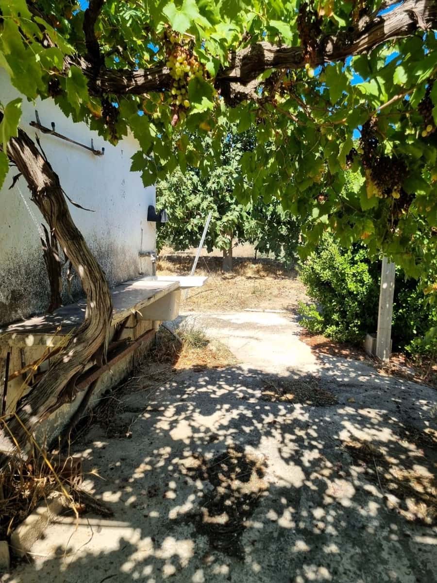 Terreno Non Edificato in vendita in Ginestar - 25.000 € (Rif: 10037795)