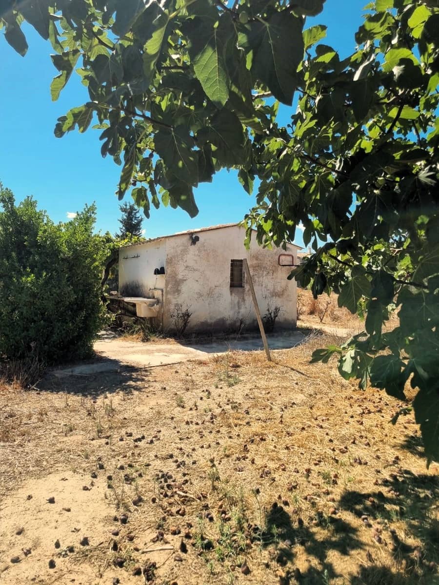 Terreno Non Edificato in vendita in Ginestar - 25.000 € (Rif: 10037795)