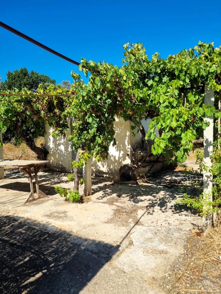 Terreno Non Edificato in vendita in Ginestar - 25.000 € (Rif: 10037795)