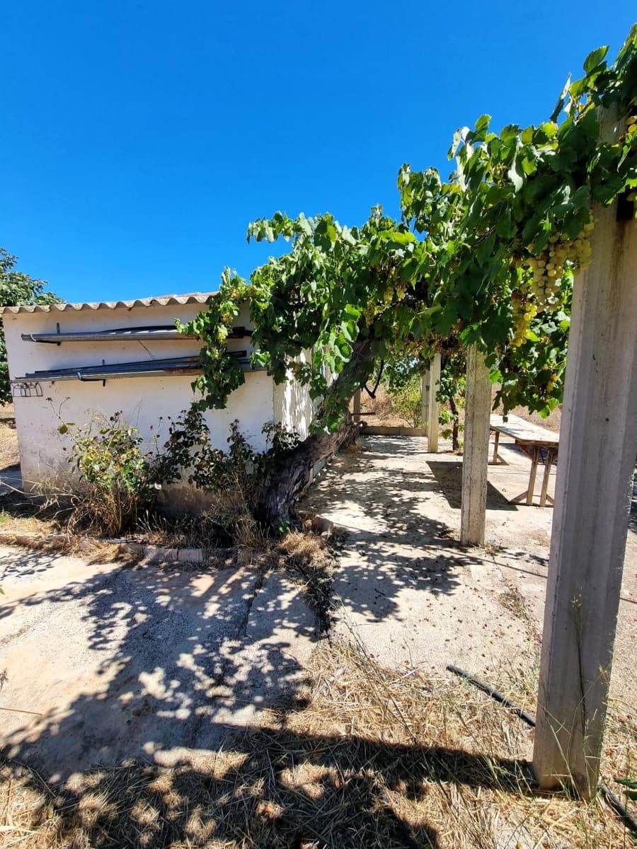 Terreno Non Edificato in vendita in Ginestar - 25.000 € (Rif: 10037795)