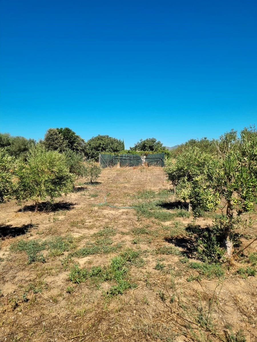 Terreno Non Edificato in vendita in Ginestar - 25.000 € (Rif: 10037795)