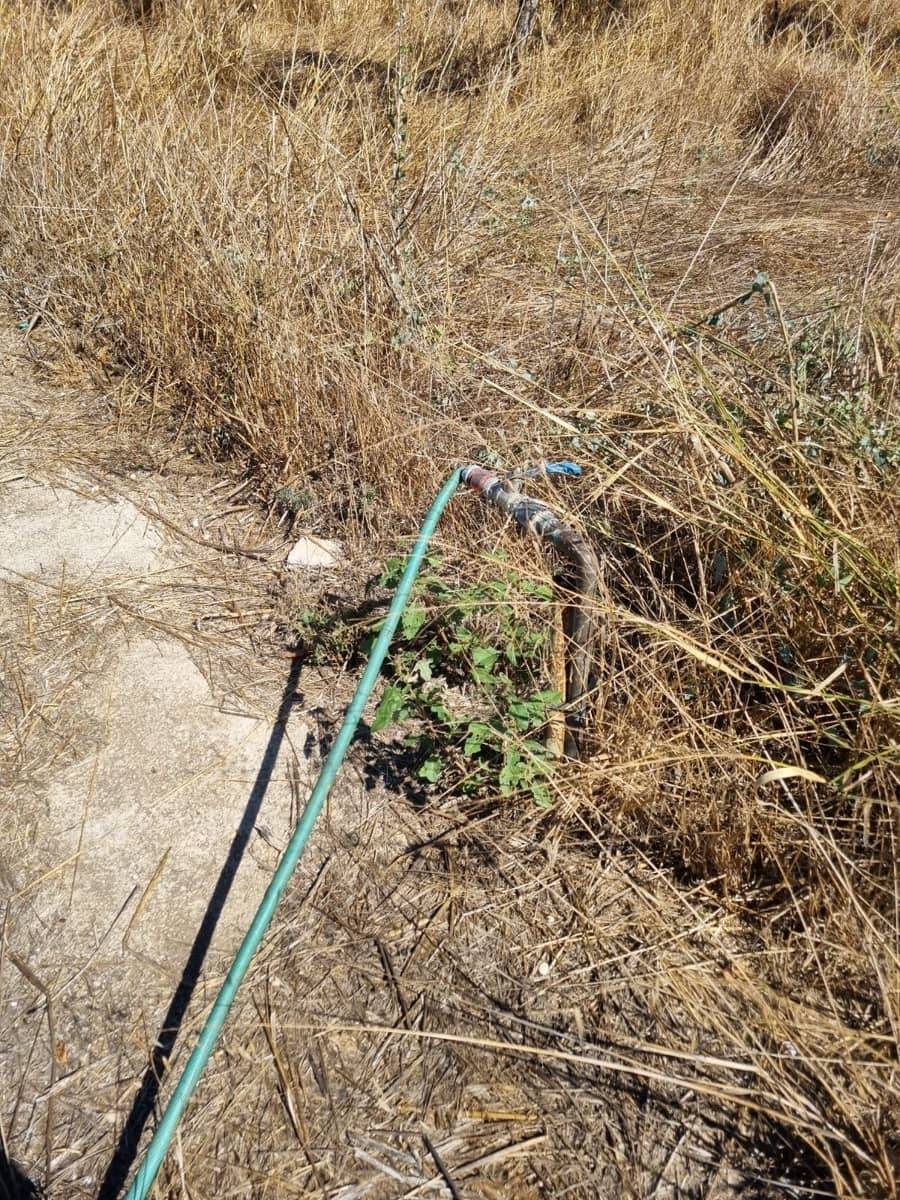 Terreno Non Edificato in vendita in Ginestar - 25.000 € (Rif: 10037795)